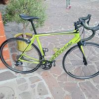 cannondale synapse 