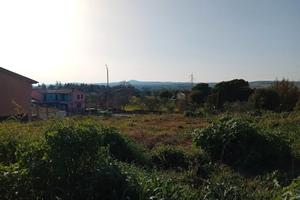 Celleno terreno edificabile