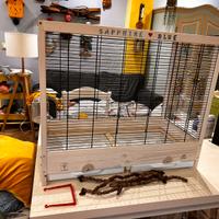 Gabbia  uccelli personalizzata unica