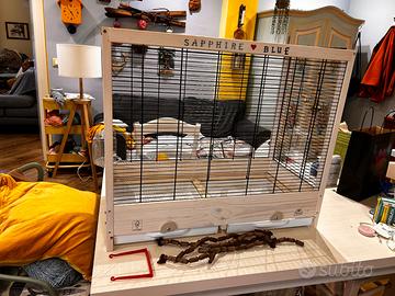 Gabbia  uccelli personalizzata unica