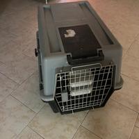 Gabbia cane per aereo