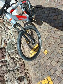 Mountain EBike Whistle B-Race