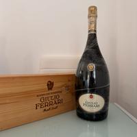 Giulio ferrari 2001 Magnum