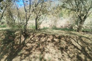 TERRENO AGRICOLO  A SANTA LUCIA DI SERINO