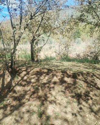 TERRENO AGRICOLO  A SANTA LUCIA DI SERINO