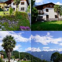 Appartamento con terreno edificabile Samone/Trento