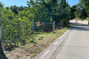 Terreno agricolo San Silvestro