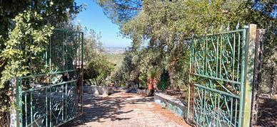 Privato vende in blocco 6200 mq uliveto e casa