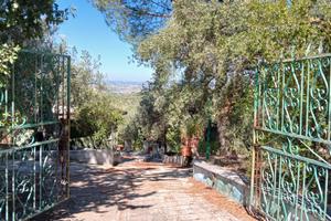 Privato vende in blocco 6200 mq uliveto e casa