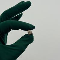 Maglia rolex timeapp S