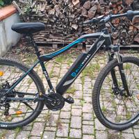 bici Pedalata assistita Bluewheel