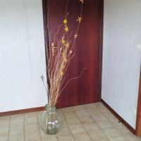 Vaso da arredamento/per salamoia