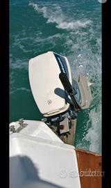 Motore Evinrude 15 cv