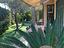 Immagine 10