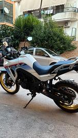 HONDA TRANSALP 2025 restyling