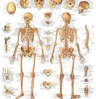 Guida SANITARIA ILL. occasion e stimolo x ragazzi