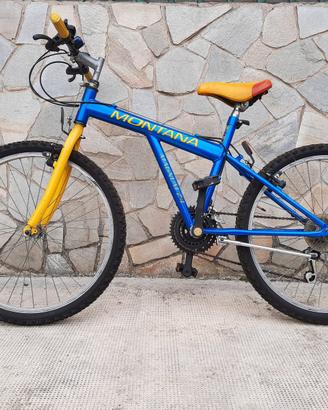 Mountain bike junior