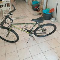mountain bike Girardengo 26