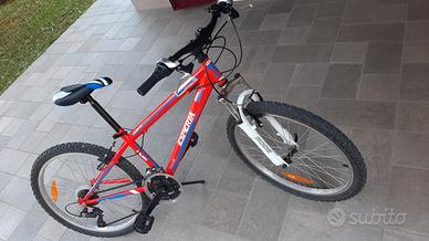 Mountain bike