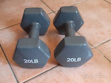 Due Manubri Palestra 20 lbs (9.1 kg) Amazon Basics