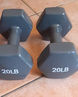 Due Manubri Palestra 20 lbs (9.1 kg) Amazon Basics