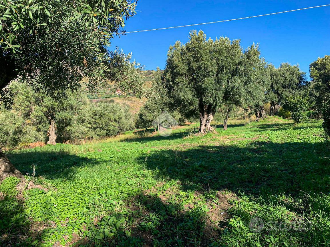 TER. AGRICOLO A AMANTEA - Vista 5