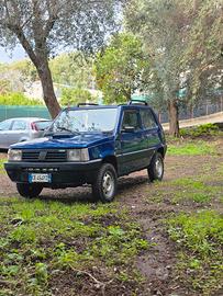 Panda 4x4 141 multipoint anno 2003