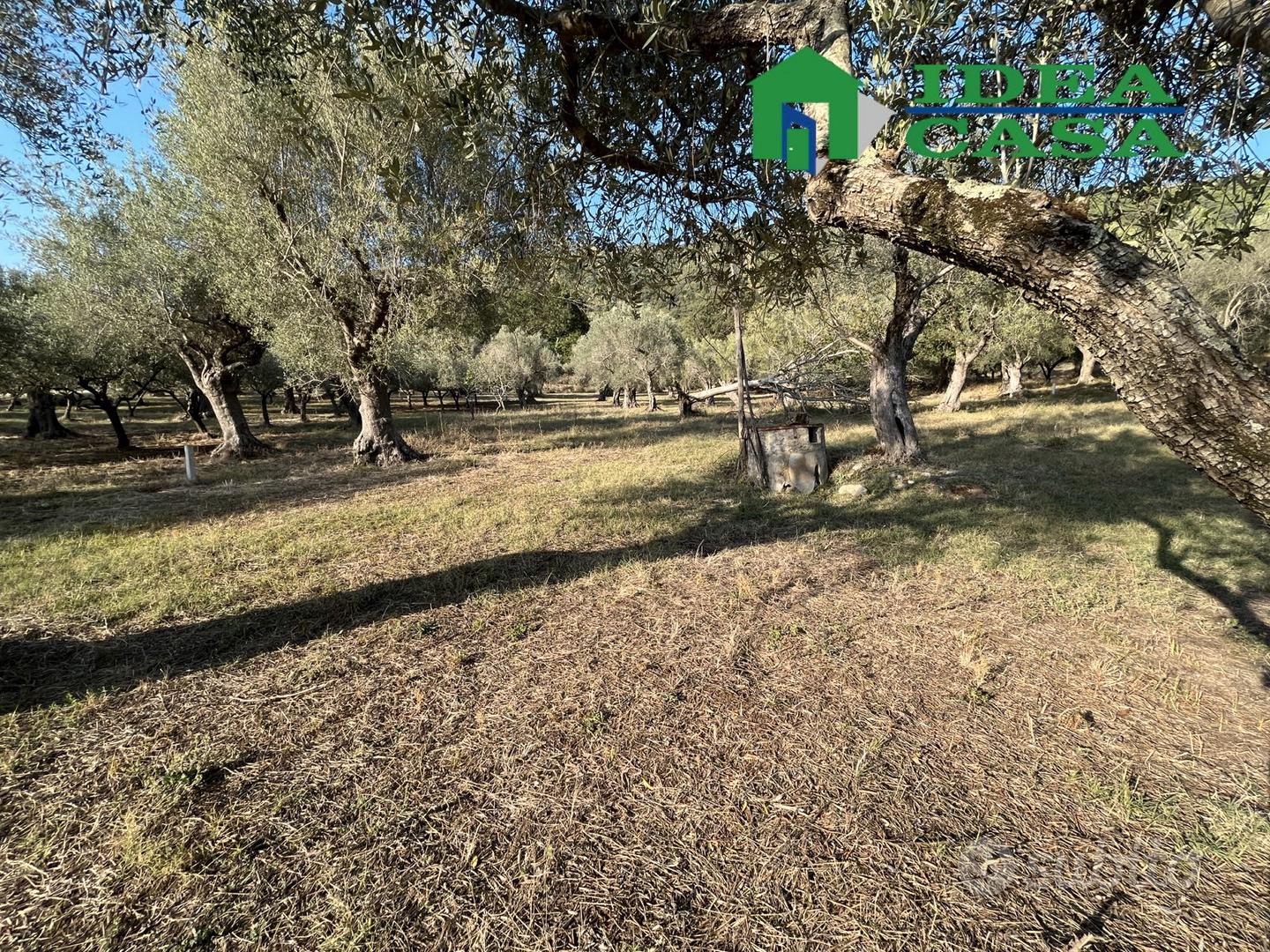 1.974 Terreno Agricolo Pianeggiante - Vista 2