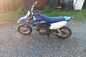 Yamaha 50 ttr minimoto