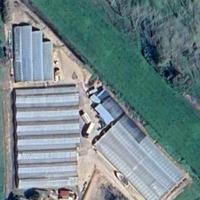 Azienda florovivaistica pronto utilizzo