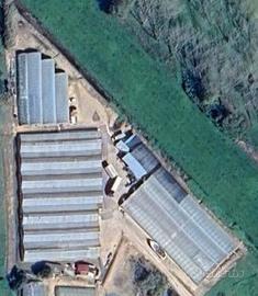 Azienda florovivaistica pronto utilizzo