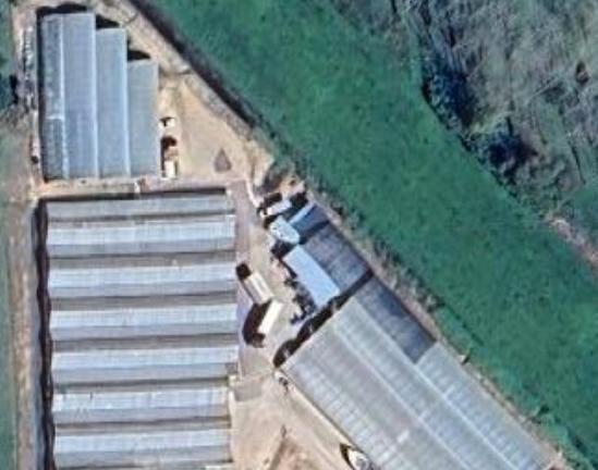 Azienda florovivaistica pronto utilizzo