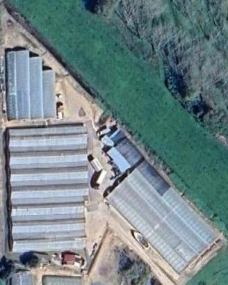 Azienda florovivaistica pronto utilizzo