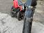 Immagine 2