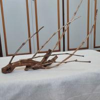 legno naturale per  acquario 
