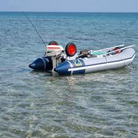 ZODIAC C310S + motore Johnson