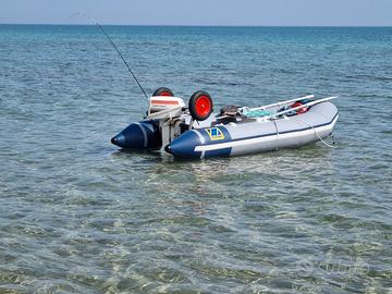 ZODIAC C310S + motore Johnson