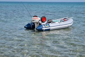 ZODIAC C310S + motore Johnson