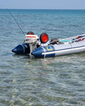 ZODIAC C310S + motore Johnson