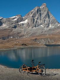 Bicicletta Cargo Bike Riese Muller Load4 75