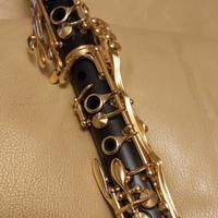 clarinetto patricola modello ff