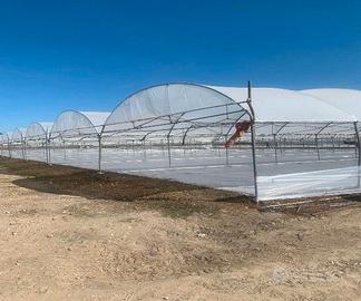 R.G.E. 7/2024 Salerno