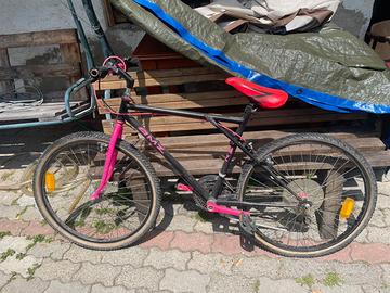 Bicicletta