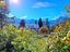 Immagine 26