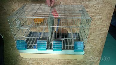 Gabbia cova per canarini