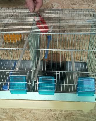 Gabbia cova per canarini