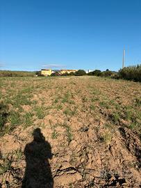Dolianova Su Cuccureddu terreno agricolo