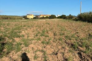Dolianova Su Cuccureddu terreno agricolo