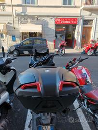 T MAX