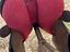 Immagine 4